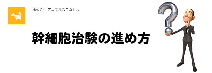 肝細胞試験の進め方