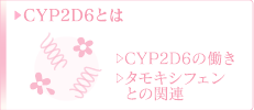 CYP2D6とは