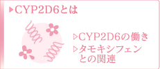 CYP2D6とは