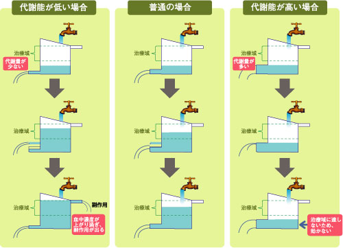 投与量と代謝量のバランス