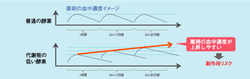 薬剤の血中濃度イメージ