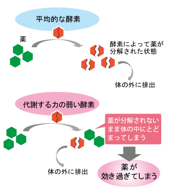 薬が効き過ぎてしまう